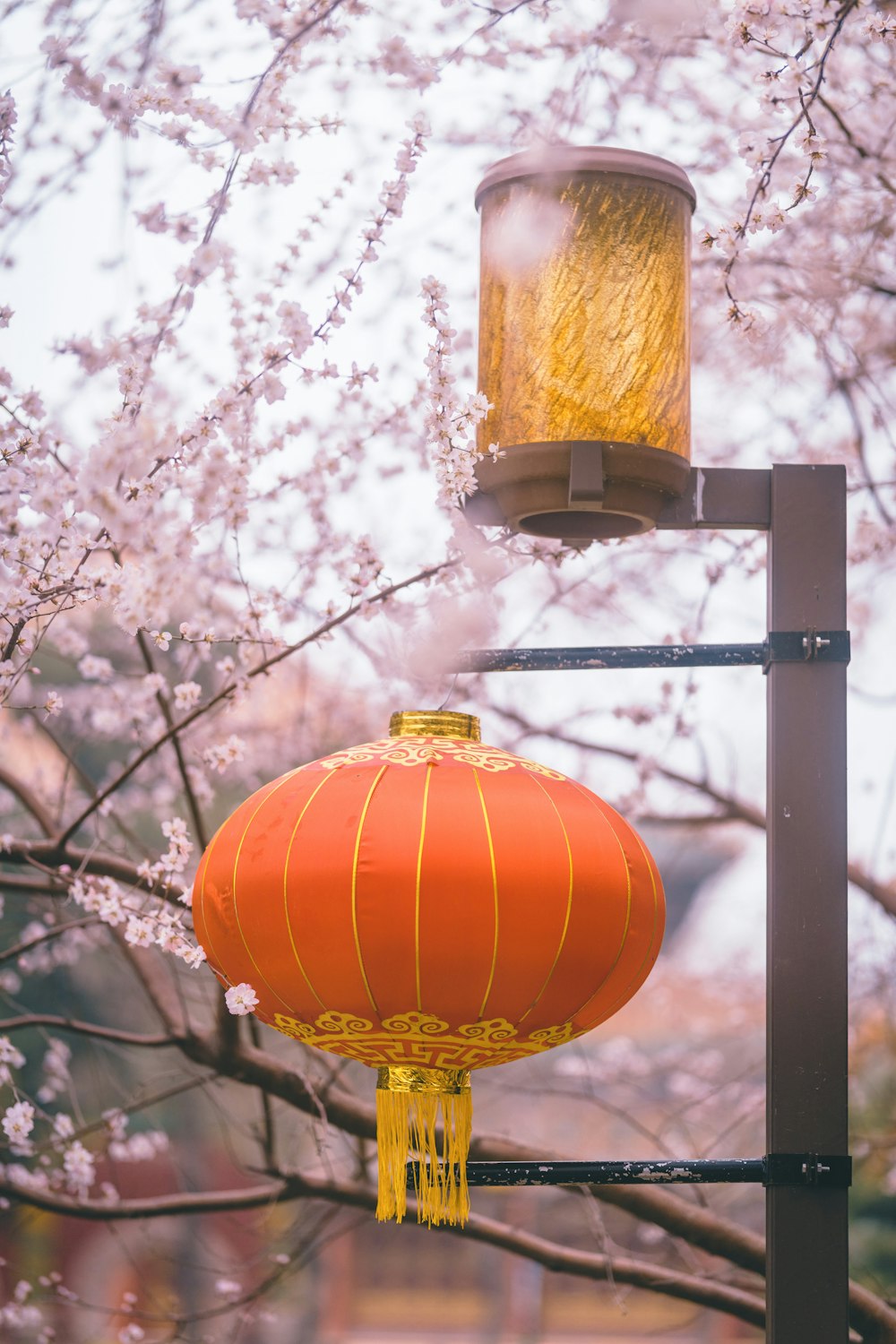 orange lantern hanging on black metal bar during daytime