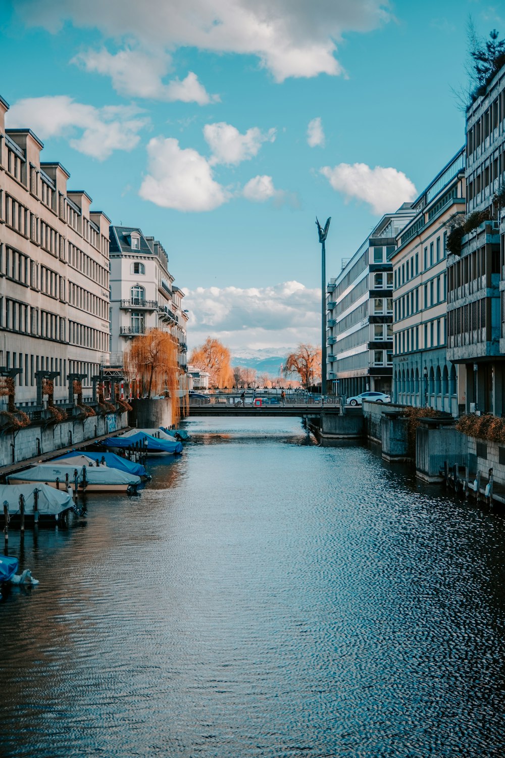 river between high rise buildings during daytime