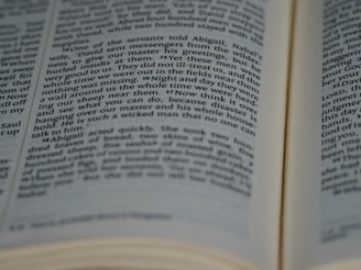 Close-up of an open book with elegant serif headers and clean body text on liberation-focused themes.