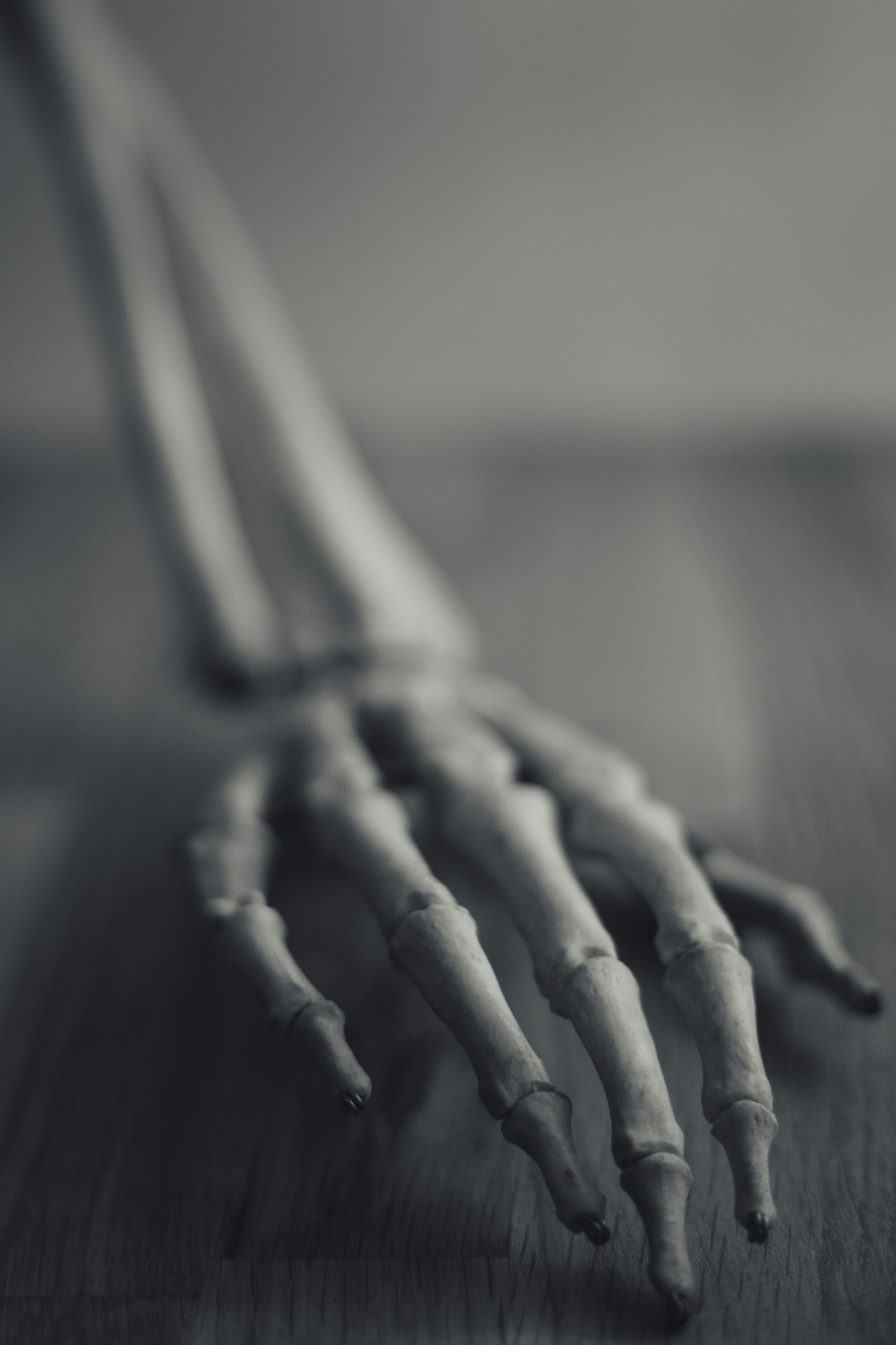 Closeup of skeleton hand model