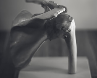 gray concrete horse figurine on white table