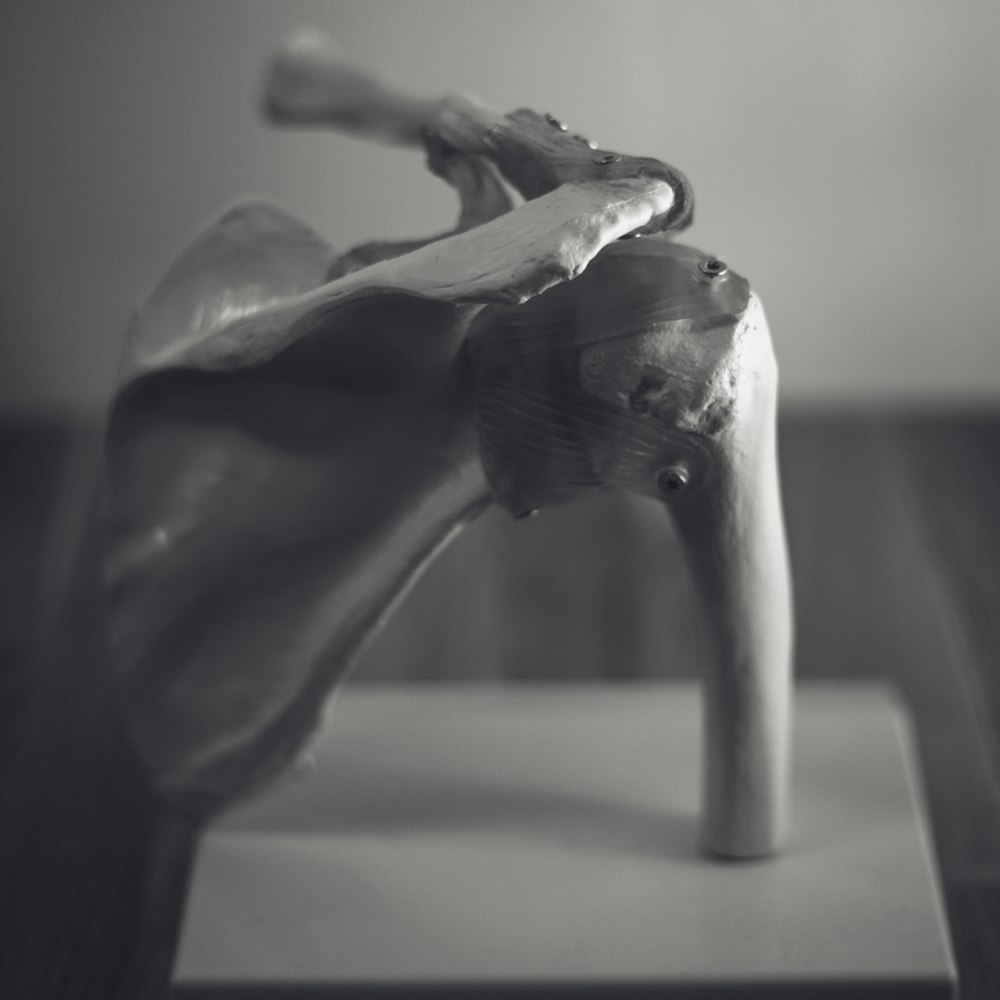 Figurine de cheval en béton gris sur table blanche