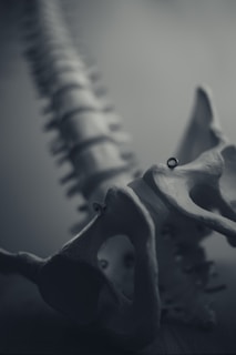 An artistic close-up of a skeletal structure, likely a human spine, with blurred segments that create a sense of depth. The monochromatic theme contributes to a somber and reflective mood.
