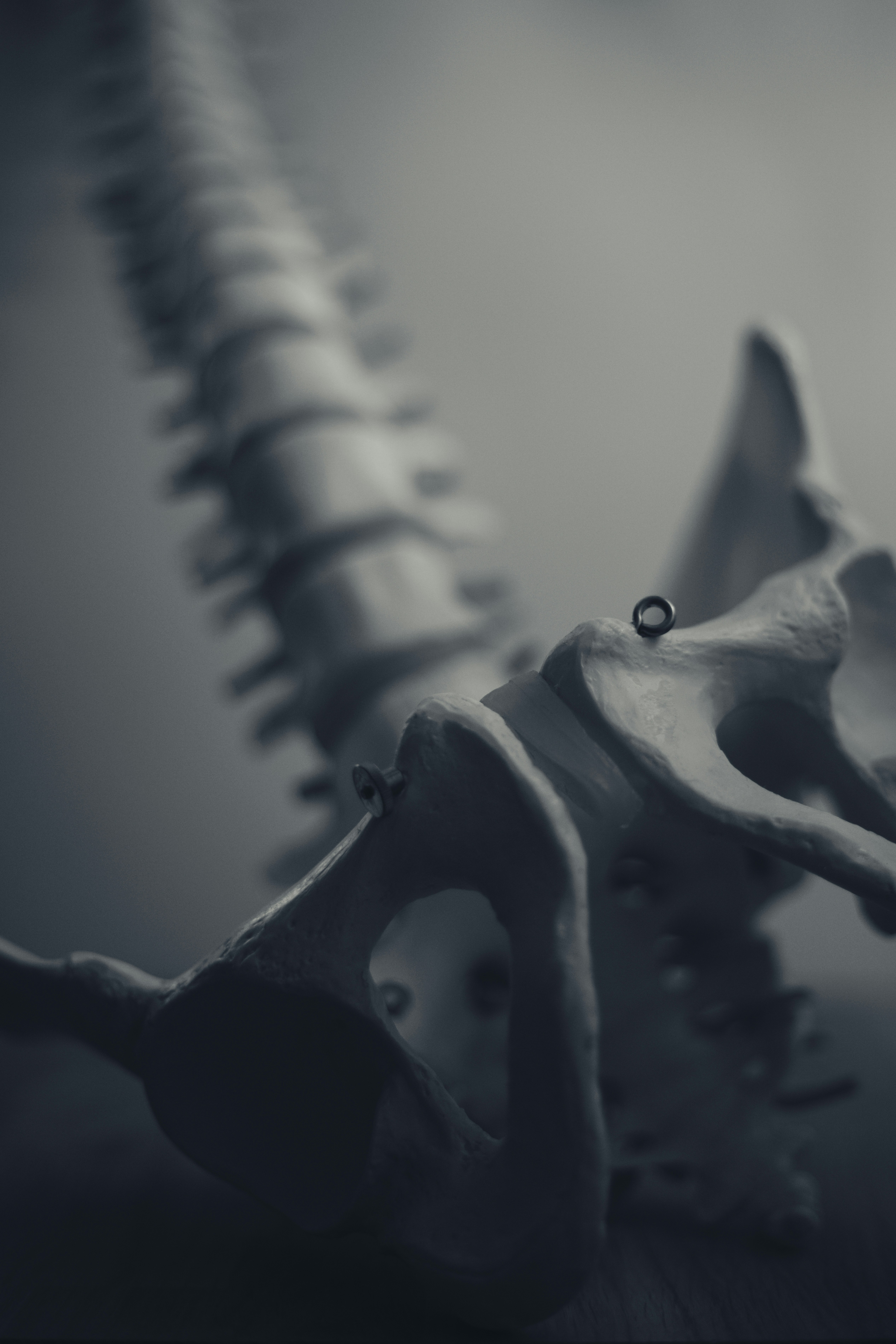 Beacons banner for @fraterlab