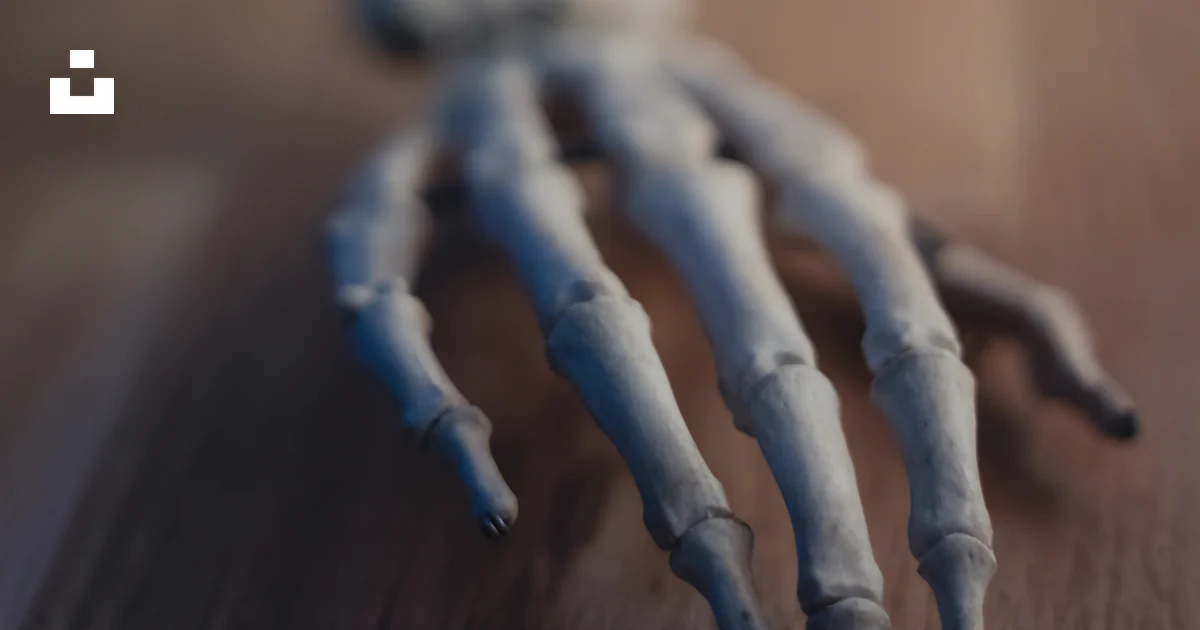 Human Bone Rope Gray rope on brown wooden table photo – Free Bone Image on Unsplash