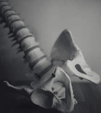 grayscale photo of dragon figurine