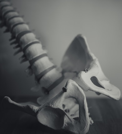 grayscale photo of dragon figurine