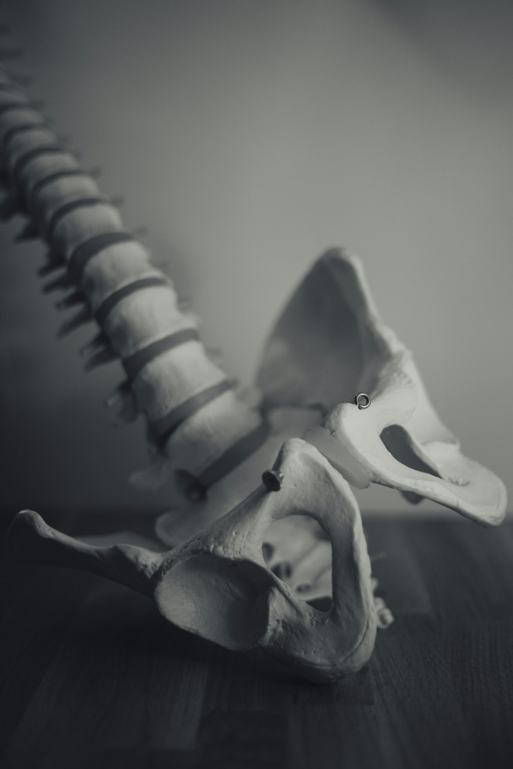 Foto en escala de grises de la estatuilla del dragón