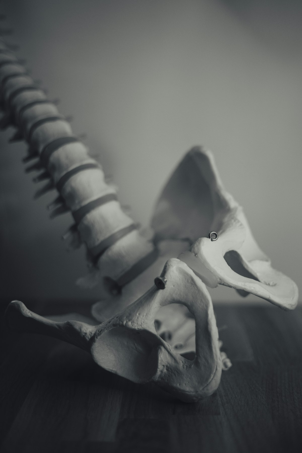 Pelvic Health Specialist Physiotherapy image