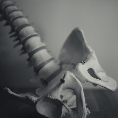 grayscale photo of dragon figurine