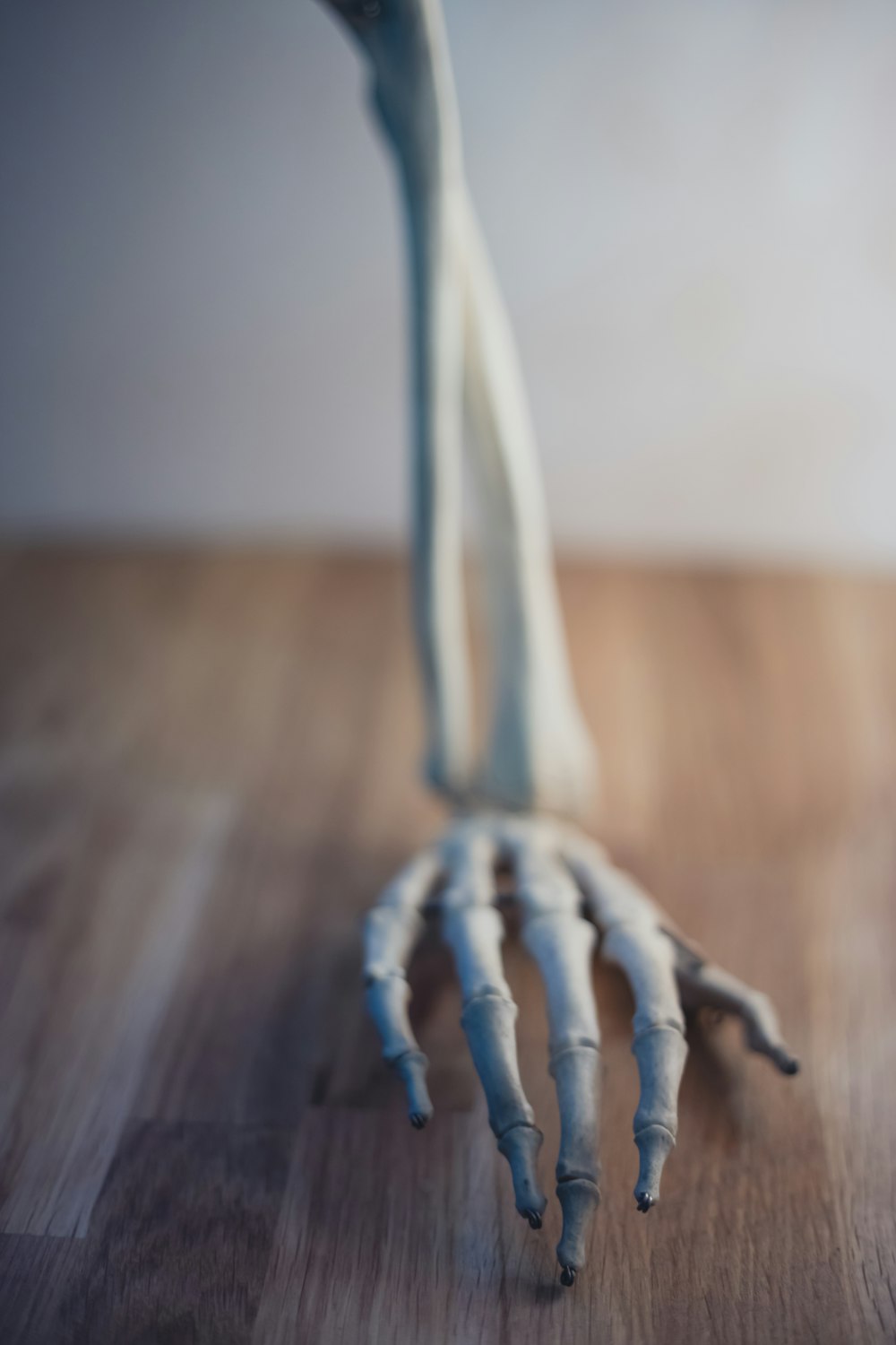 white and black rope on brown wooden table