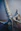 white and blue dragon figurine