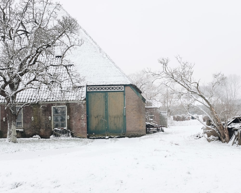 雪に覆われた地面に緑の木造住宅