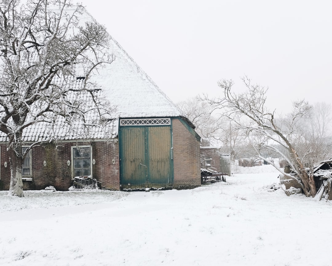 green wooden house on snow covered ground