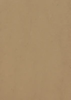 Close-up of a kraft paper box with a sturdy, rustic texture.