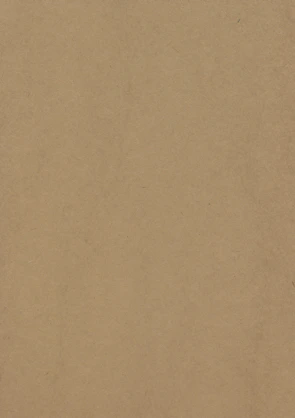 Close-up of a kraft paper box with a sturdy, rustic texture.