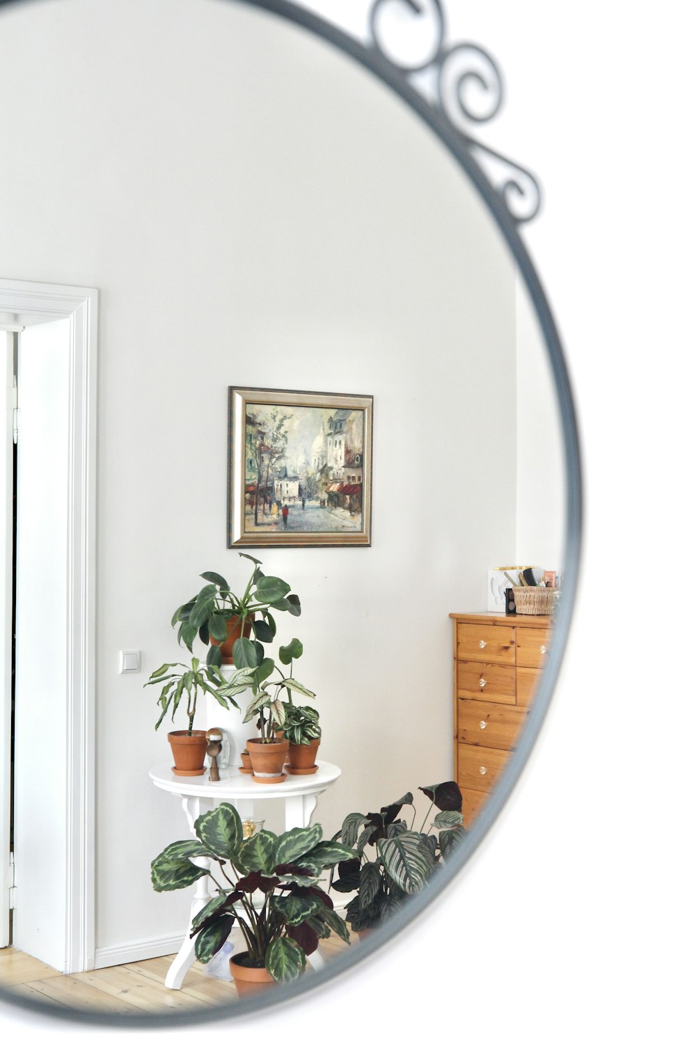 green plant on brown wooden table