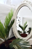 Close-up of an artisanal Moroccan mirror with intricate woodwork, reflecting soft terracotta walls and olive green plants.