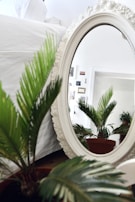 Bright hallway with a decorative round mirror paired with subtle lighting and plants.