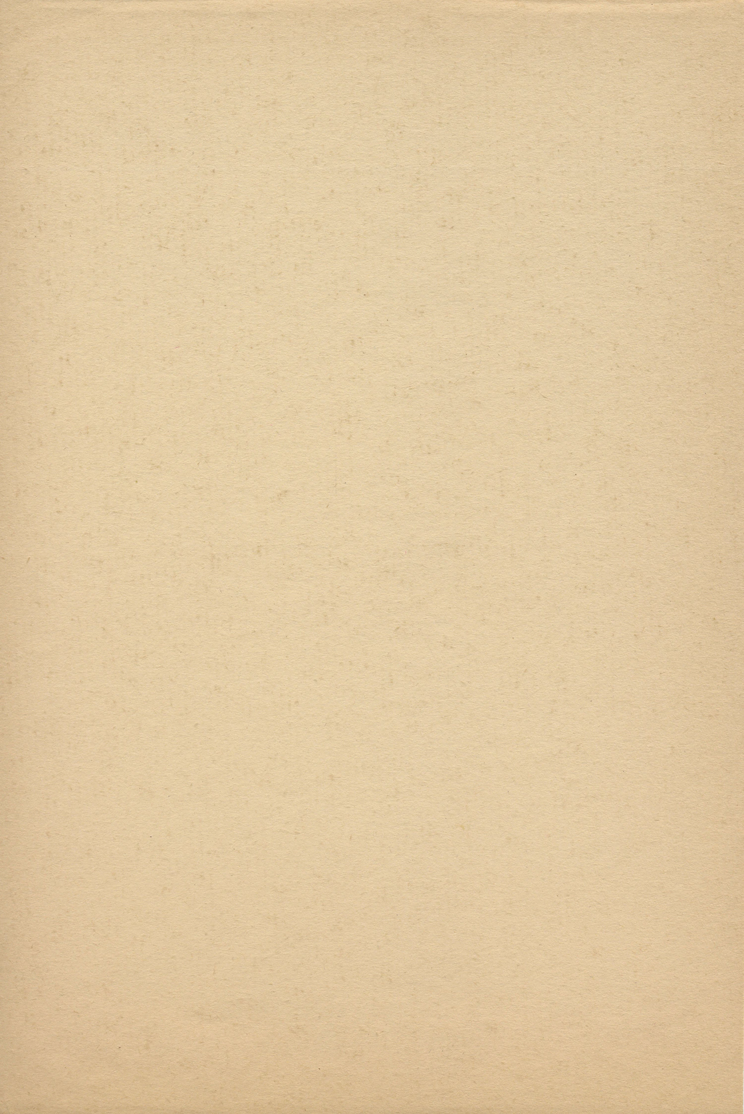 A full sheet of undyed kinari kozo washi with visible fibres