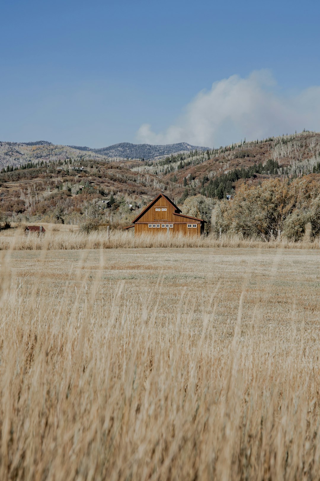 brown wooden house in the middle of brown grass field