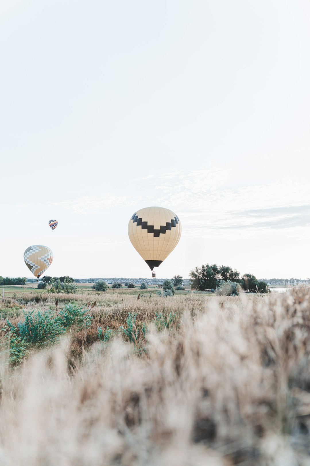 hot air balloons flying over green grass field during daytime