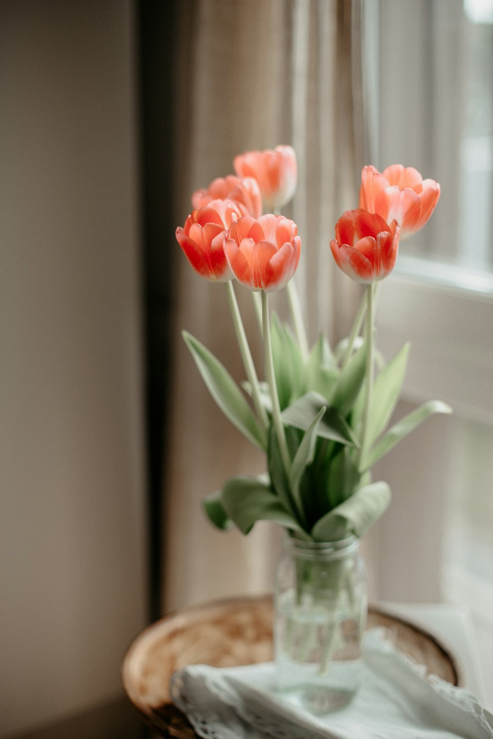 pink tulips in clear glass vase