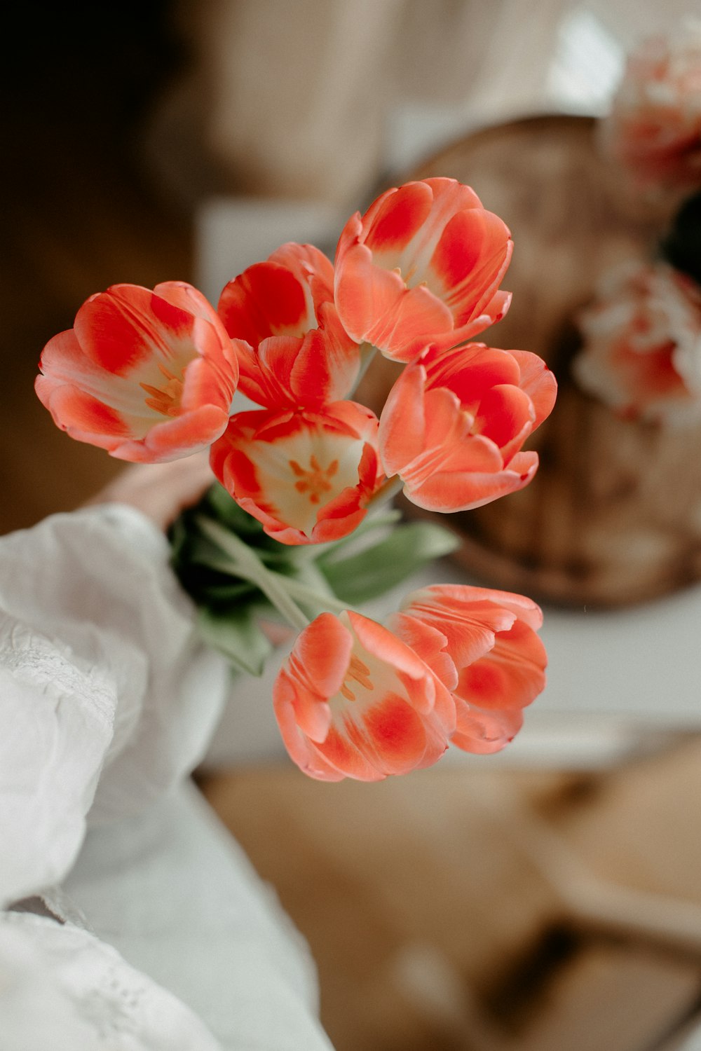 pink flowers in tilt shift lens