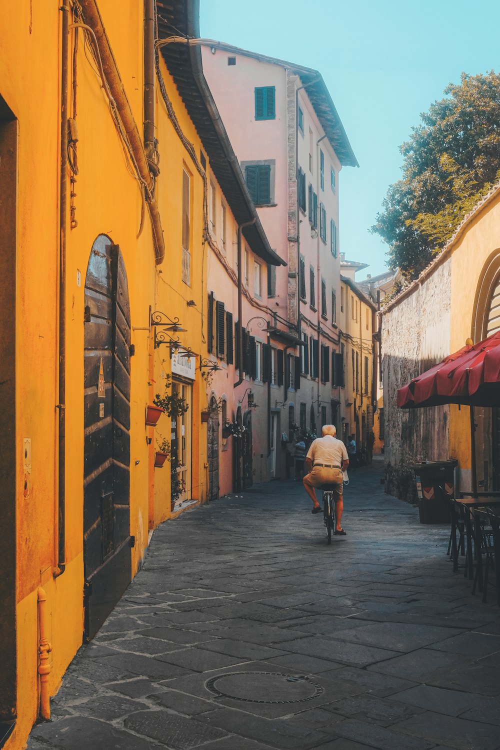 people walking on street during daytime