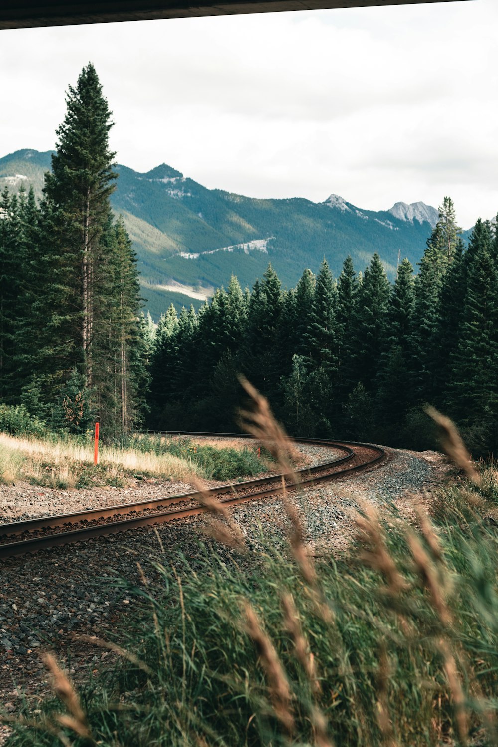 ferrovia del treno vicino a pini verdi e montagne durante il giorno