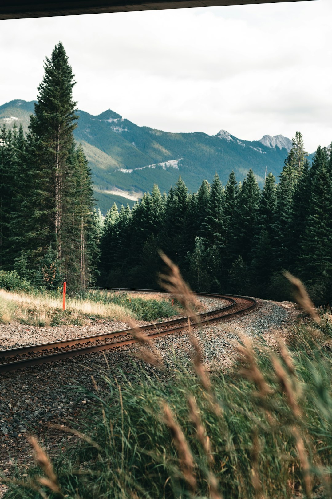 train rail near green pine trees and mountains during daytime