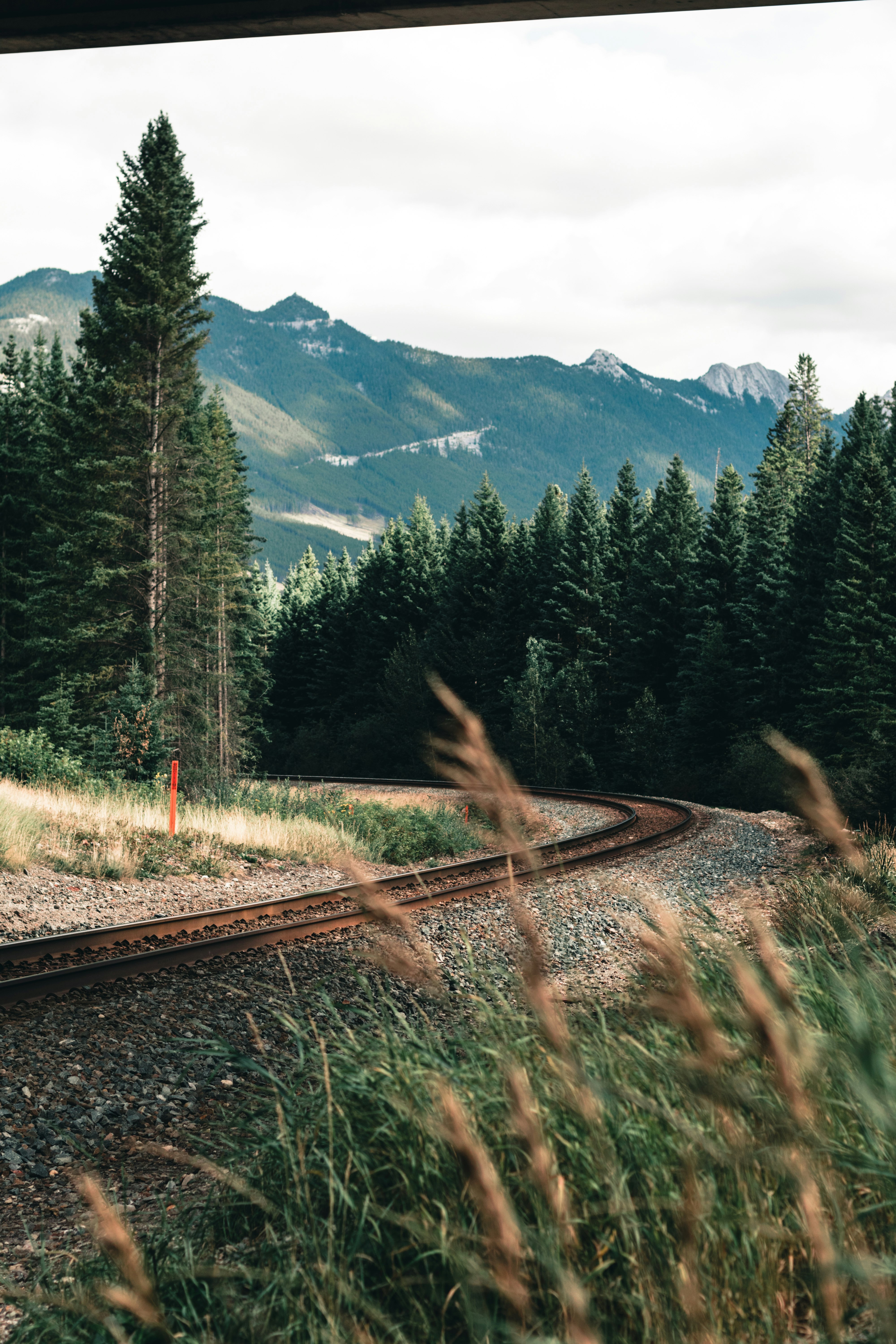 train rail near green pine trees and mountains during daytime