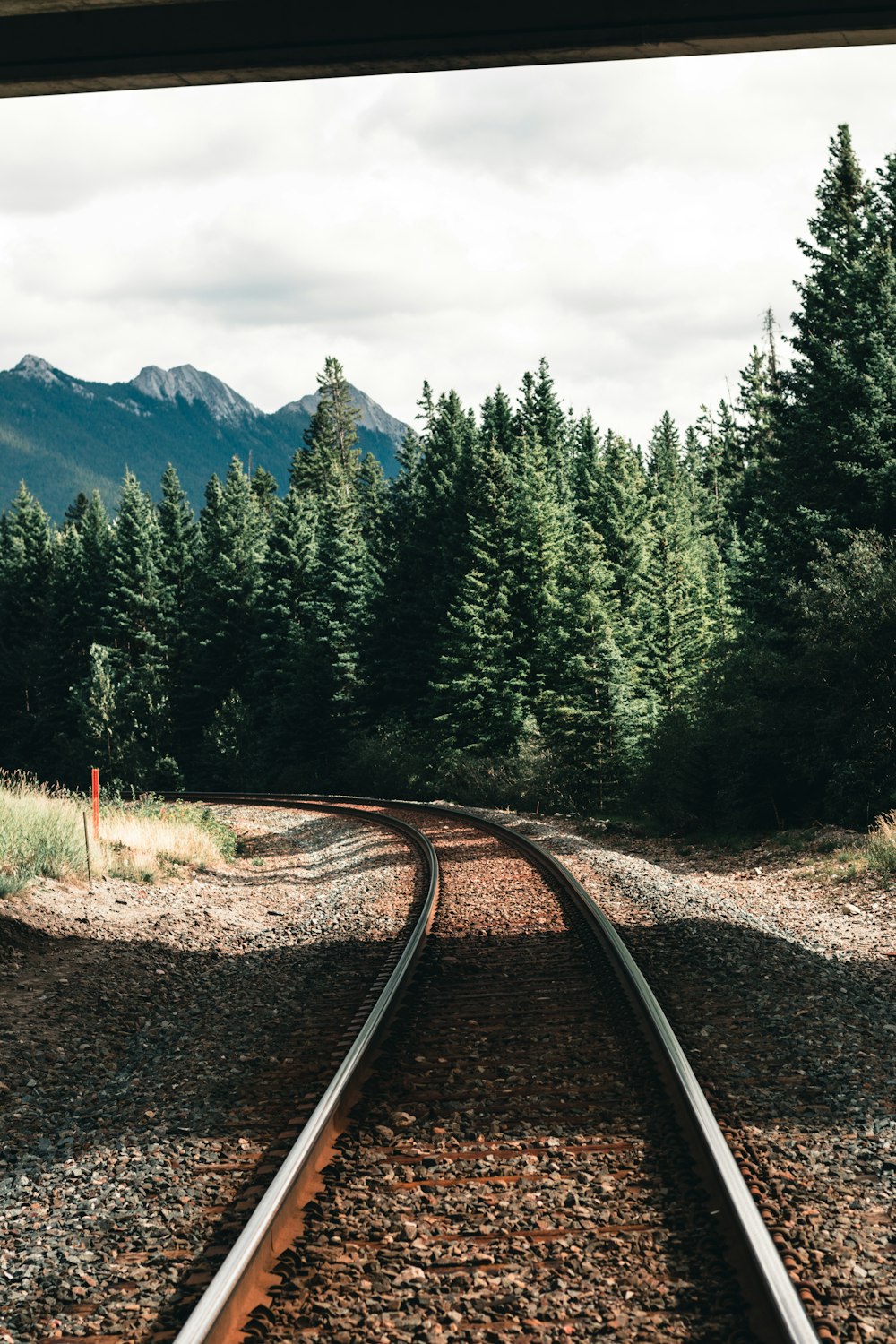 train rail near green trees and mountain during daytime