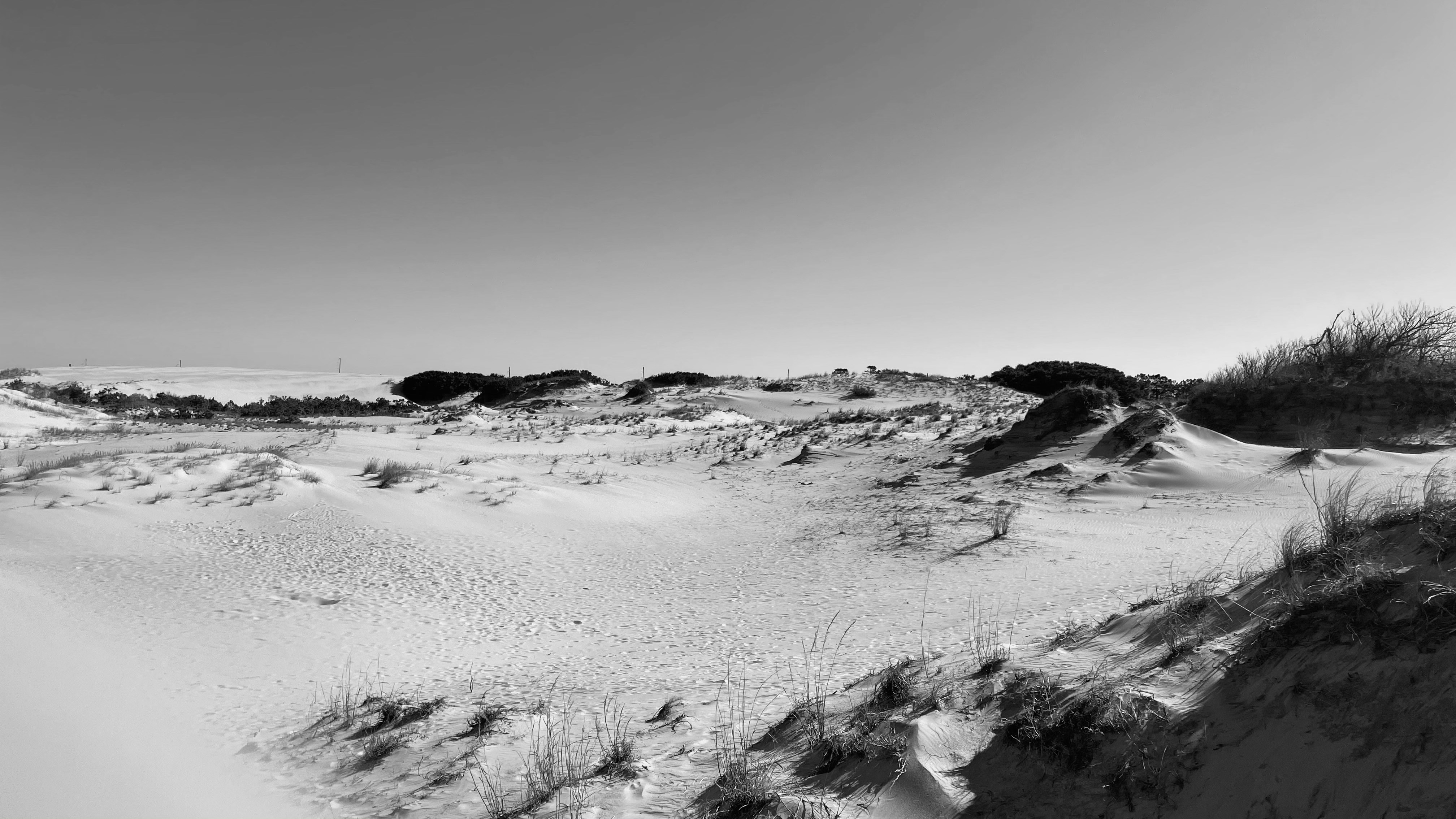 Photo by hojojenks