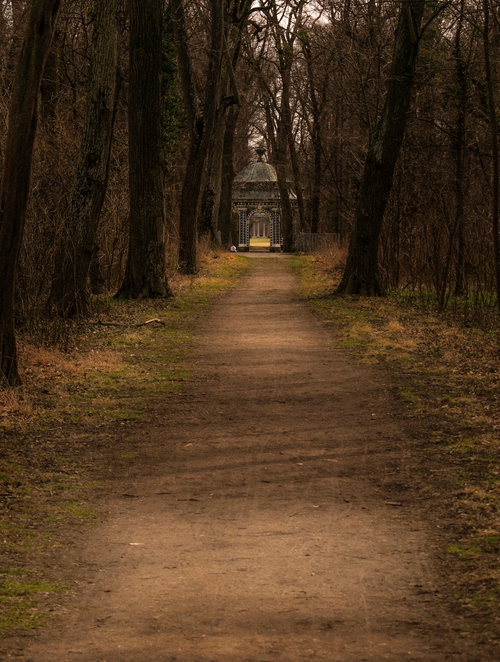 brown pathway between trees during daytime