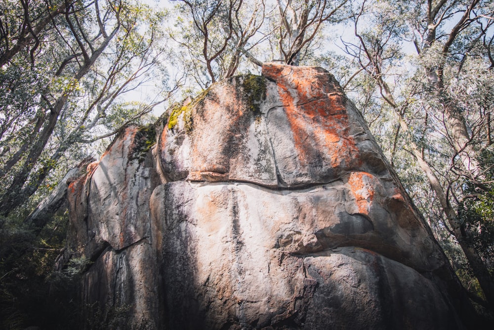 brown and gray rock formation