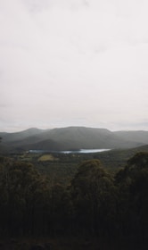 A scenic view of Tanjung Puting National Park with lush greenery.