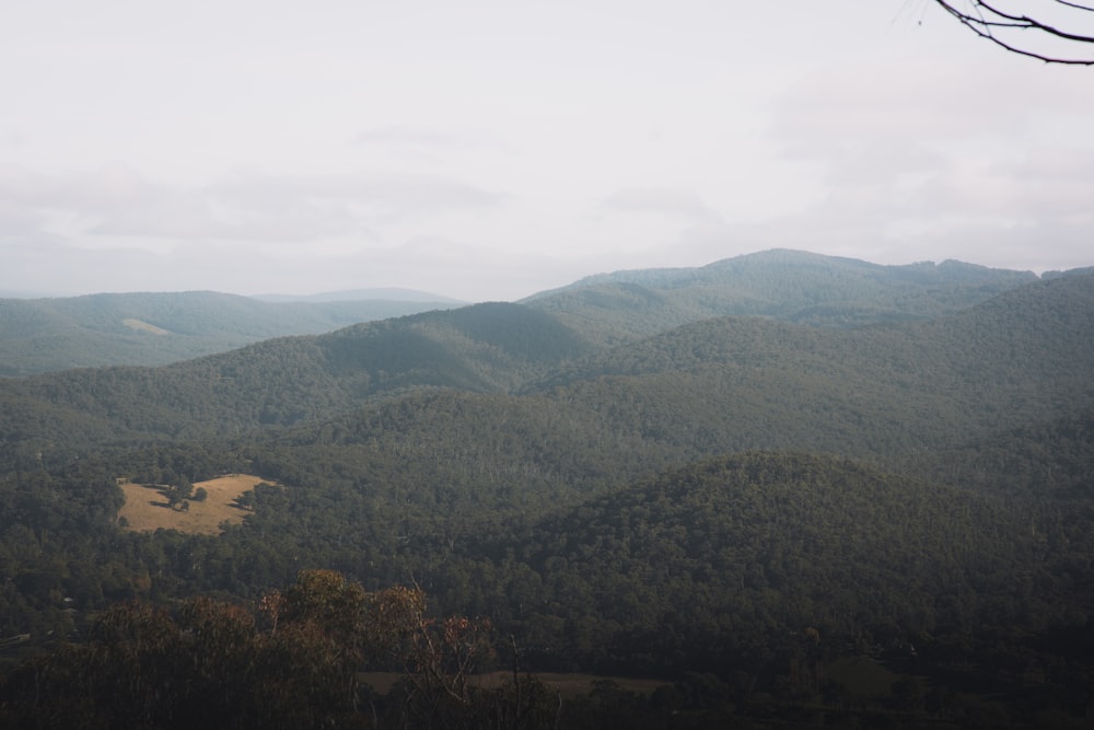 green trees on mountain under white sky during daytime