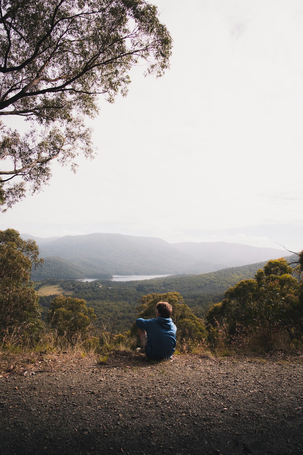 woman in blue jacket sitting on rock near green trees during daytime