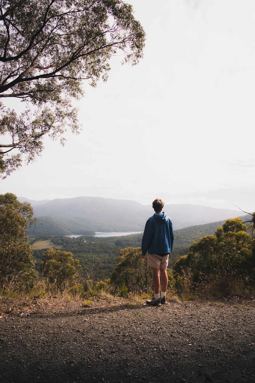 man in blue long sleeve shirt standing on hill during daytime