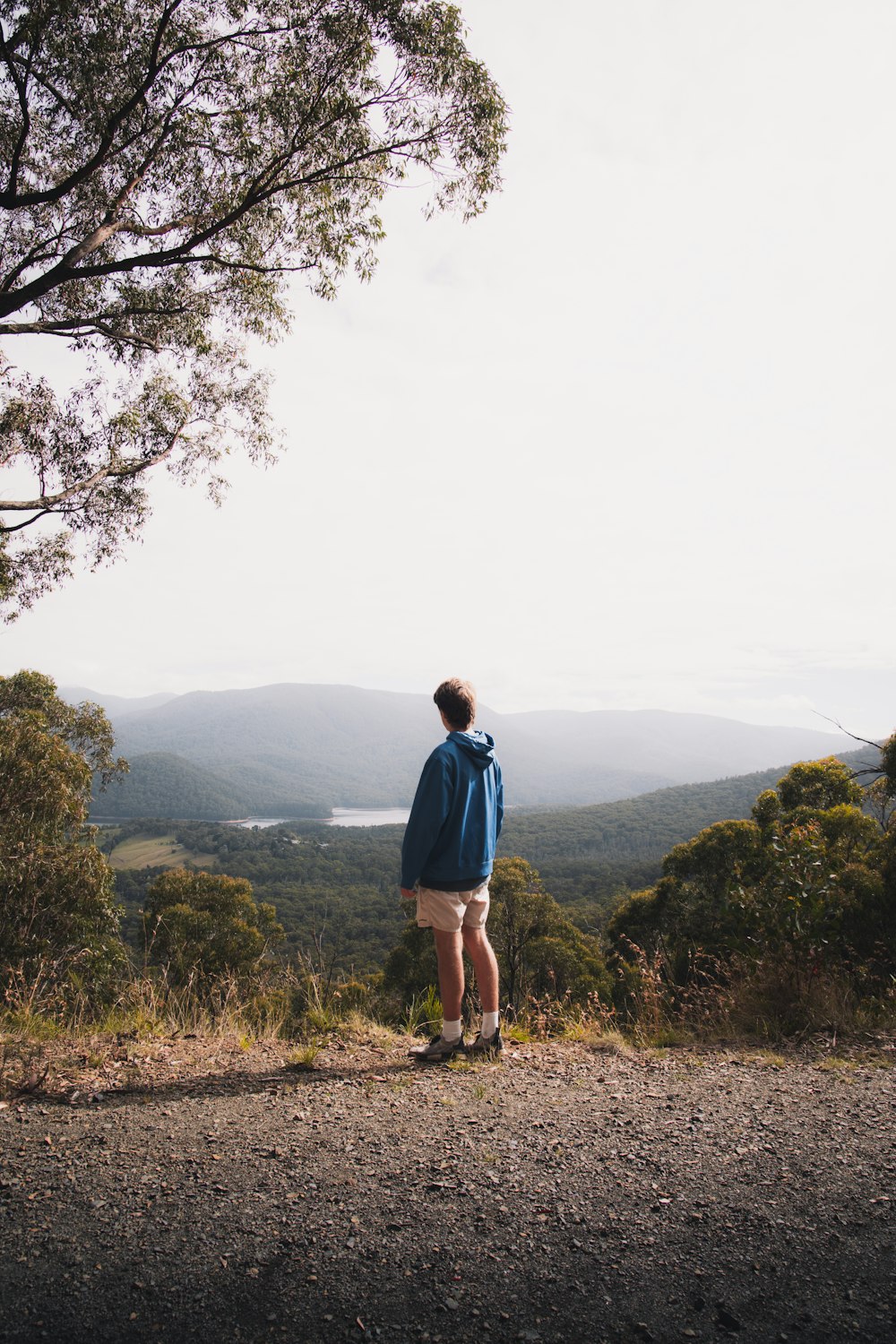 man in blue long sleeve shirt standing on hill during daytime