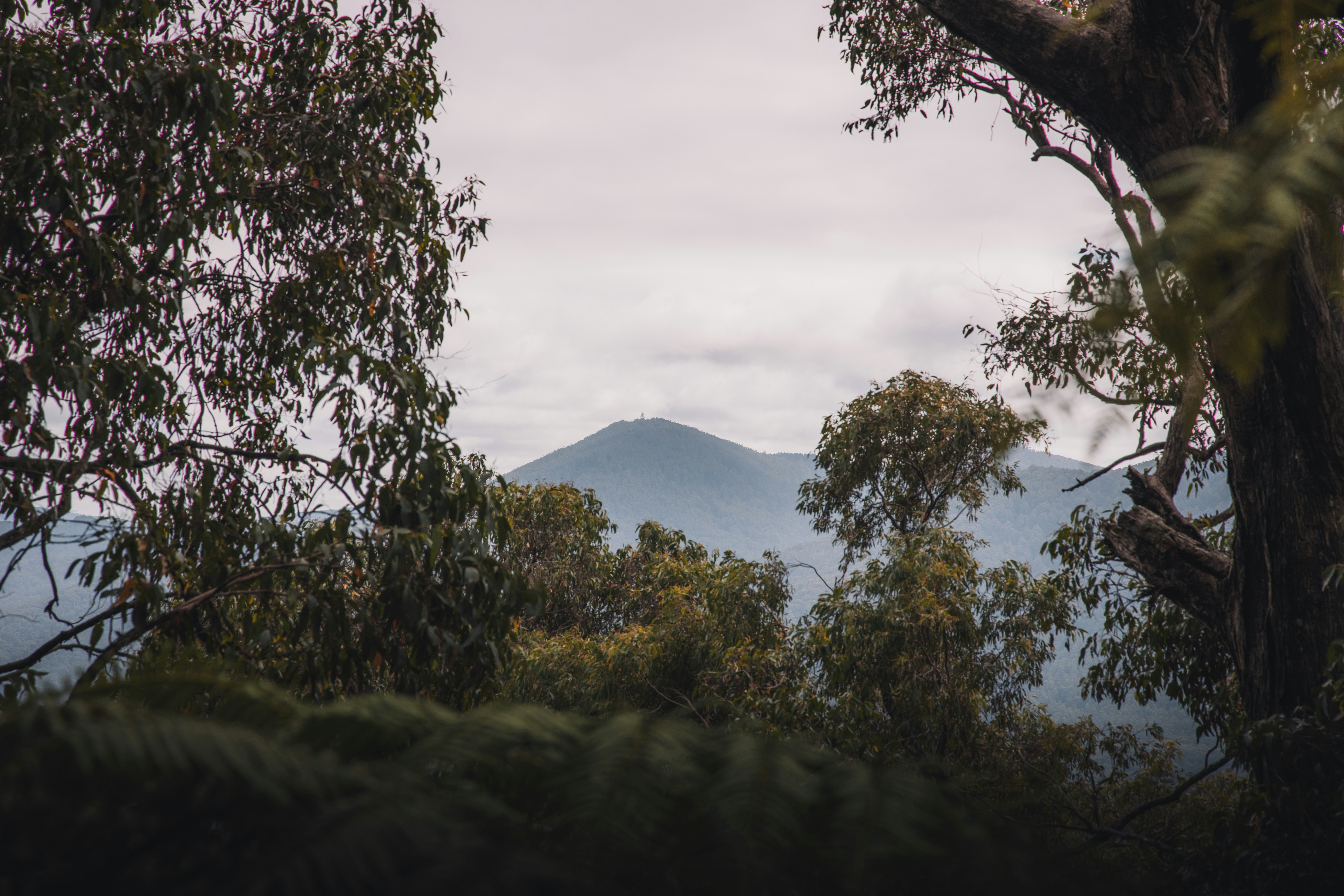 Green trees near mountain under white clouds during daytime photo ...