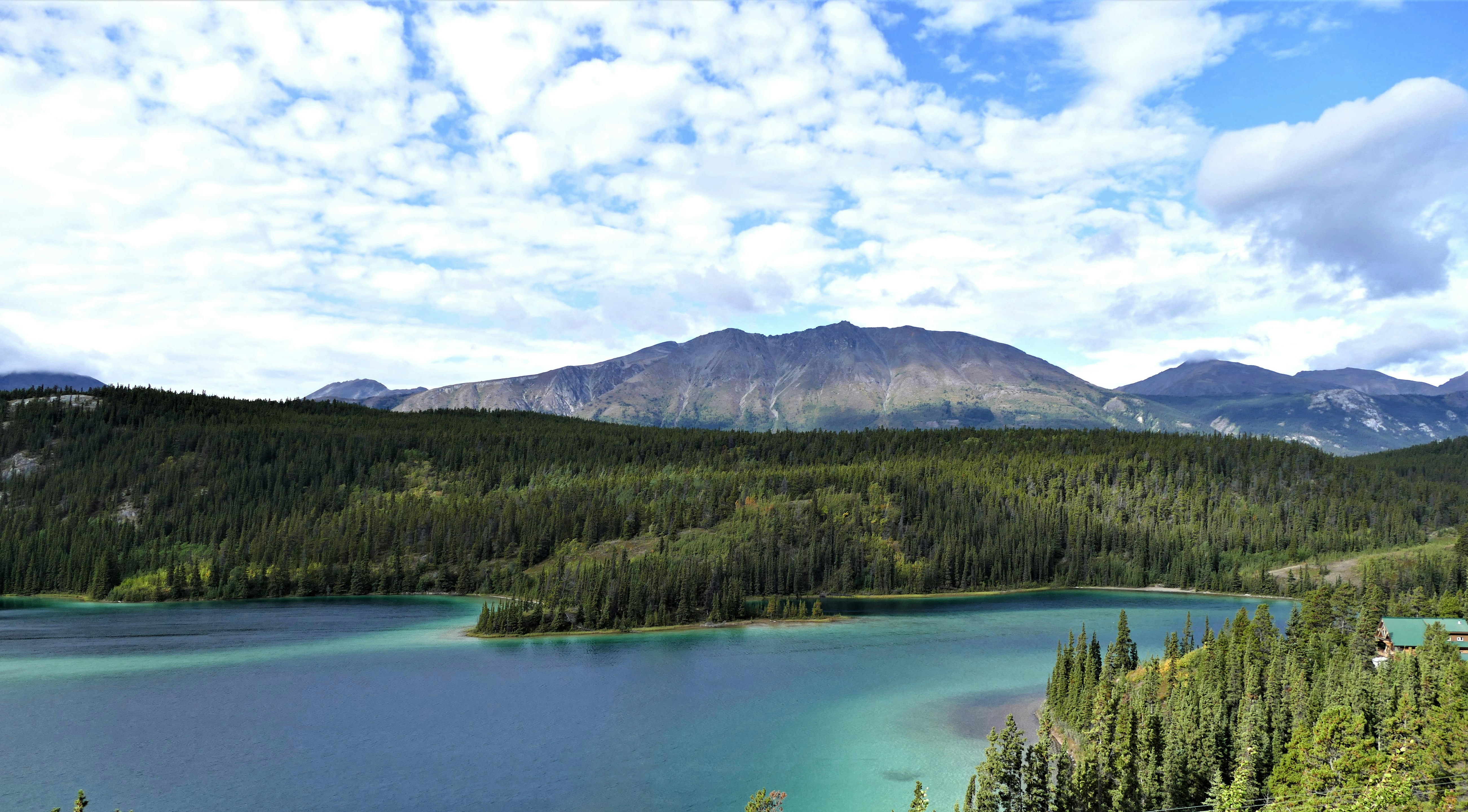 green trees near lake under white clouds and blue sky during daytime