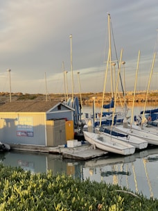 Sailboats are docked at a harbor with a small building labeled 'Learn to Sail Here'. The calm water reflects the boats and structure, and the setting sun casts a warm golden light over the scene. Greenery in the foreground frames the image, while a gentle sky stretches overhead.