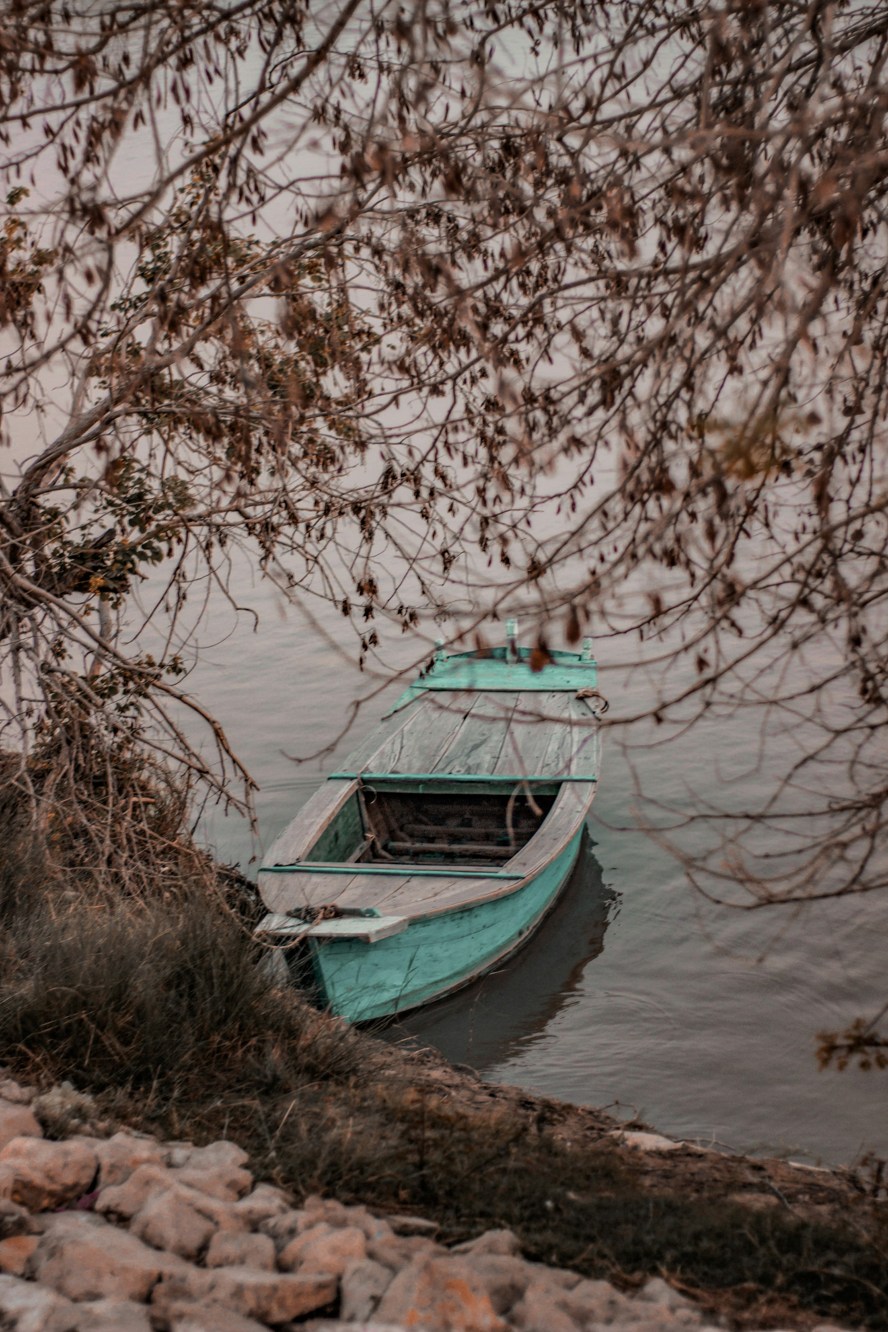 Photo by faizan_muhammad