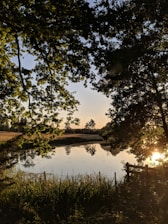 Scenic view of the golden pond surrounded by lush greenery at sunset.