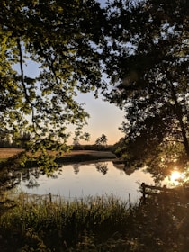 Scenic view of the golden pond surrounded by lush greenery at sunset.