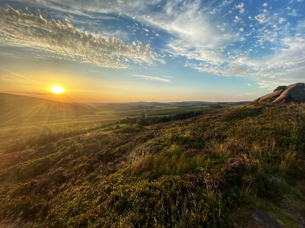 green grass field during sunset