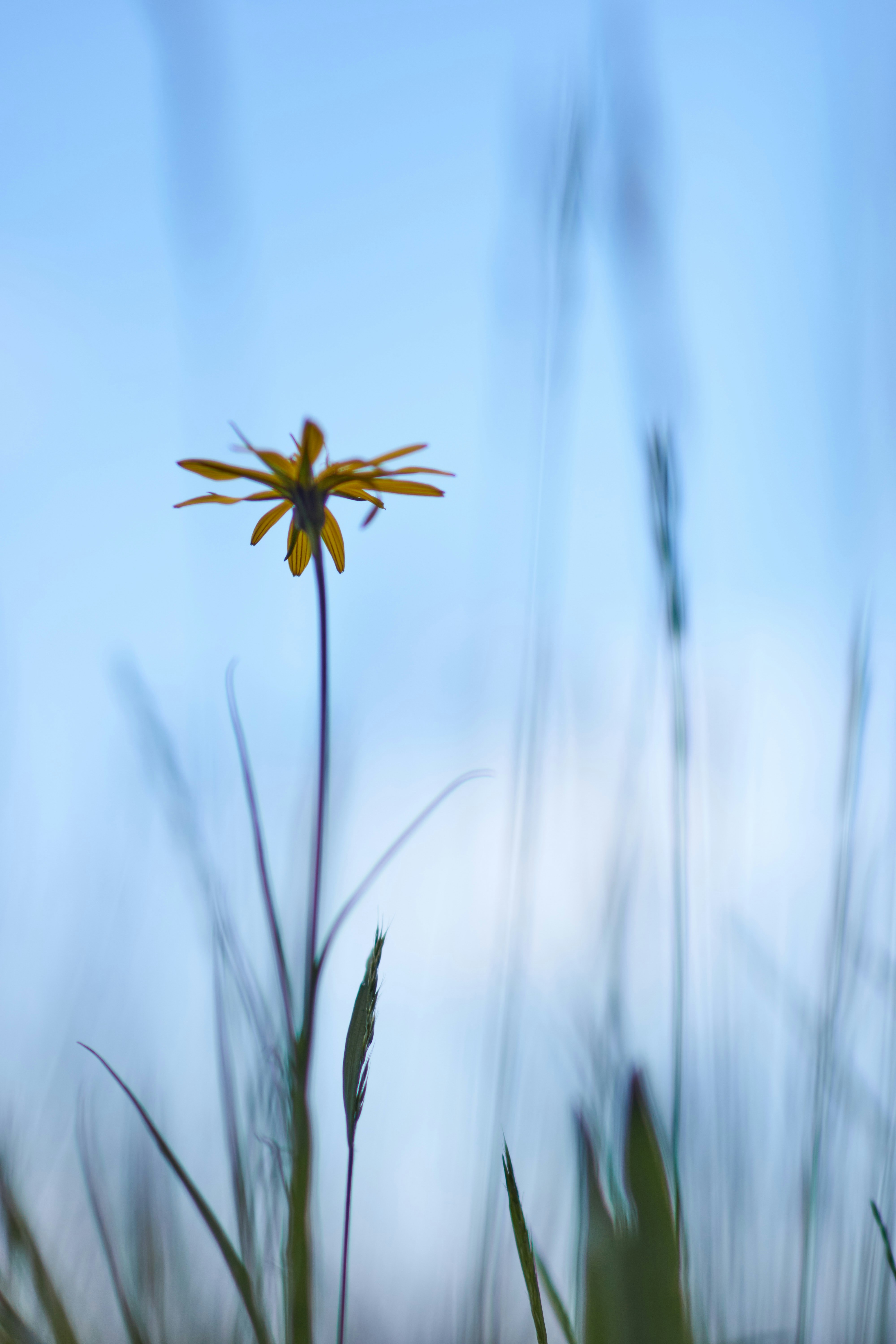 Photo by wolfgang_hasselmann