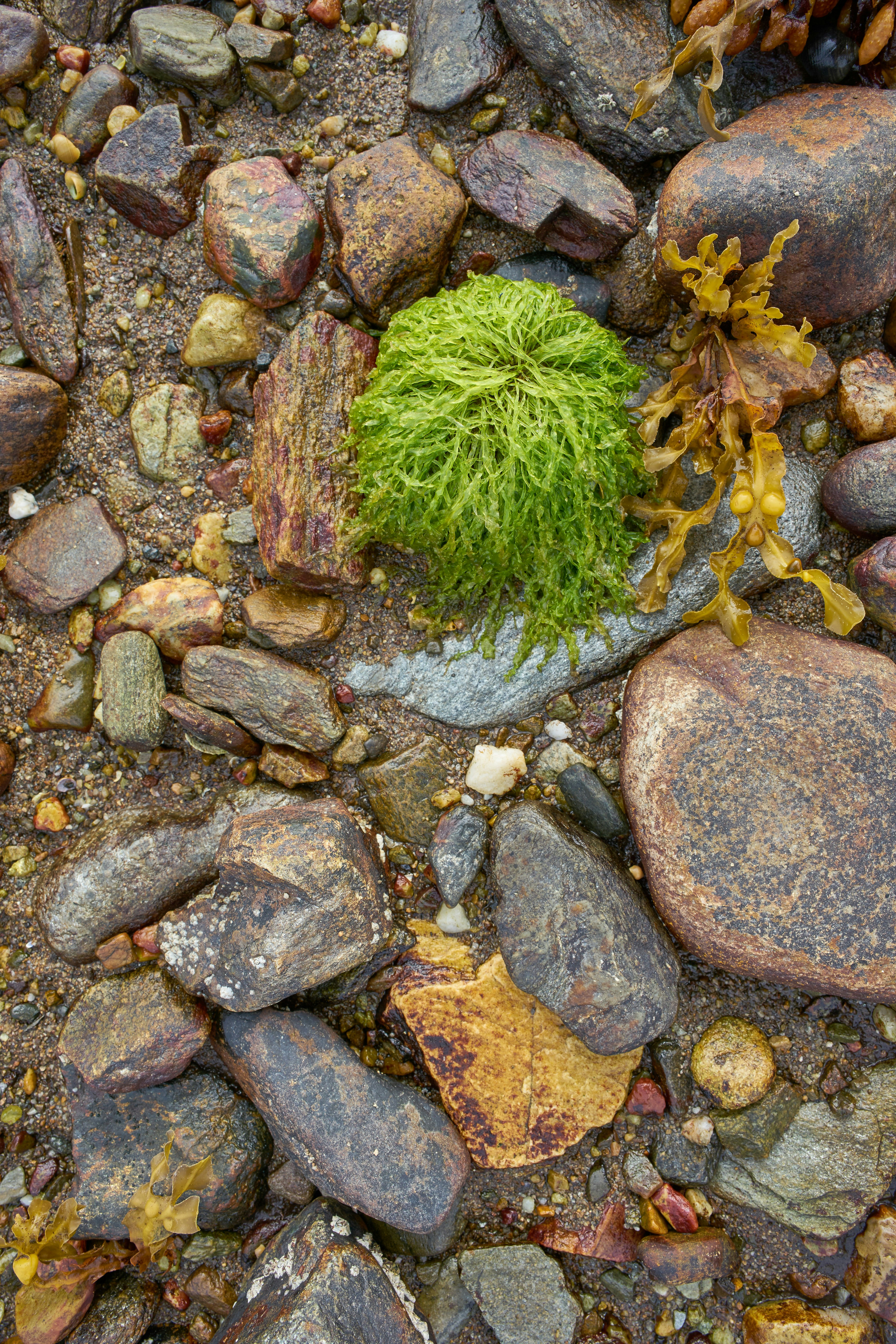 Photo by wolfgang_hasselmann